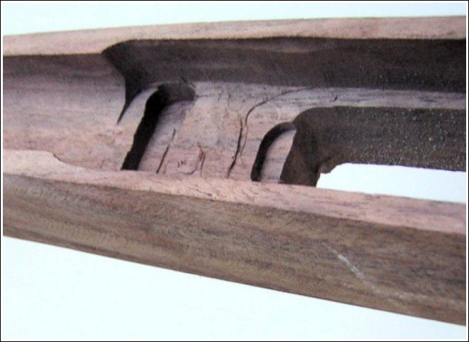 Custom Gunstock - In the Beginning ... 